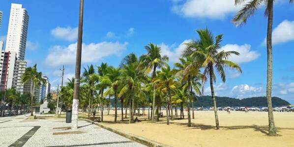 بالقرب من الشاطئ