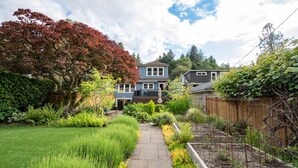 A residential garden with a pathway leading to a house.