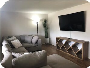 Smart-TV, Kamin