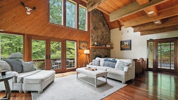 Smart TV, fireplace, books