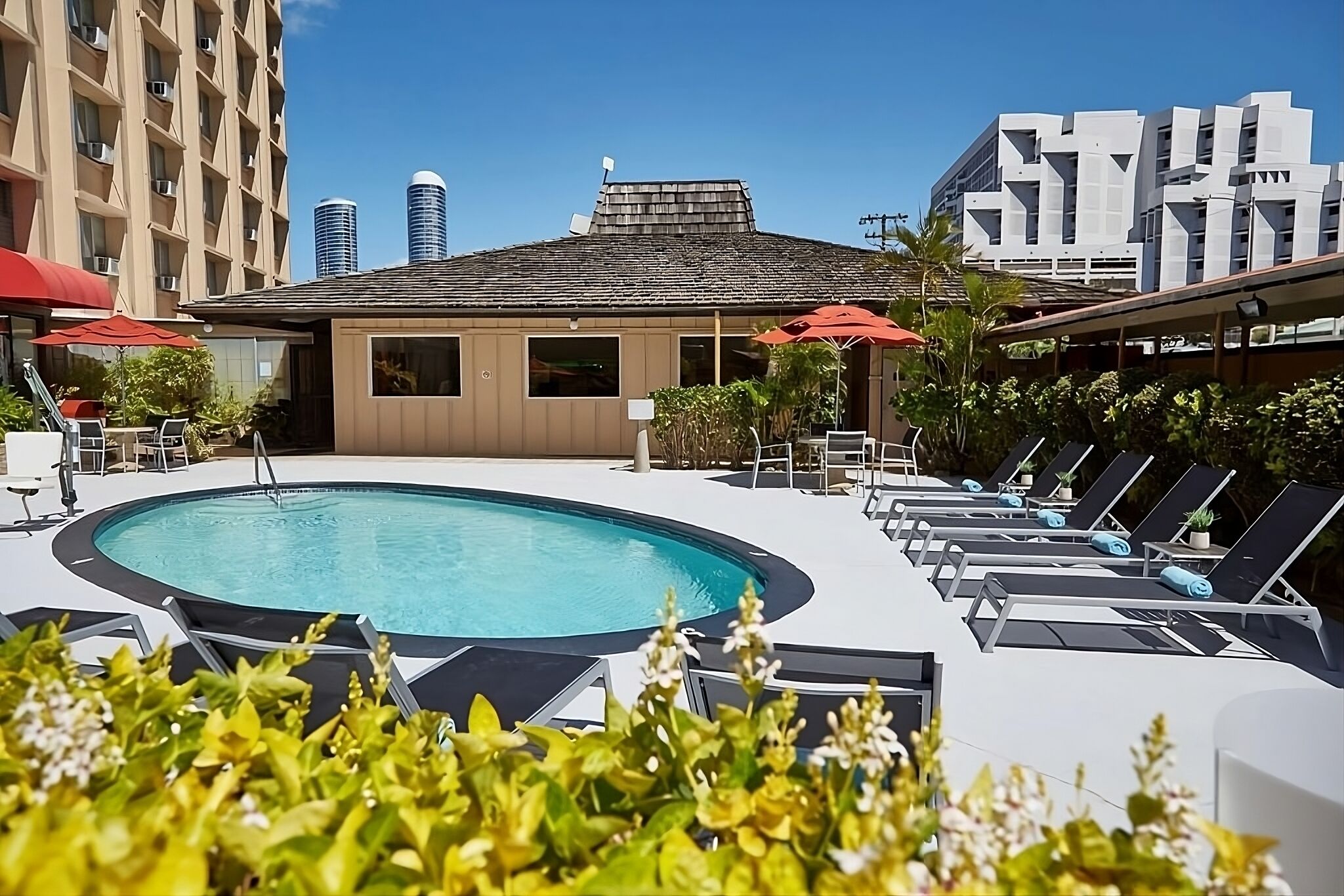 3 Sleek Units in the Heart of Hawaii! Onsite Pool, Pet-Friendly Property