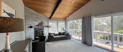 Televisión y chimenea