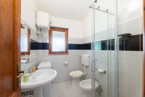 Shower, hair dryer, bidet, towels