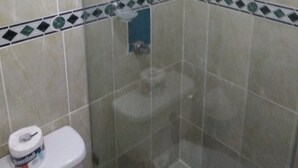 Casa de banho com sanita, chuveiro e chão em mosaico.