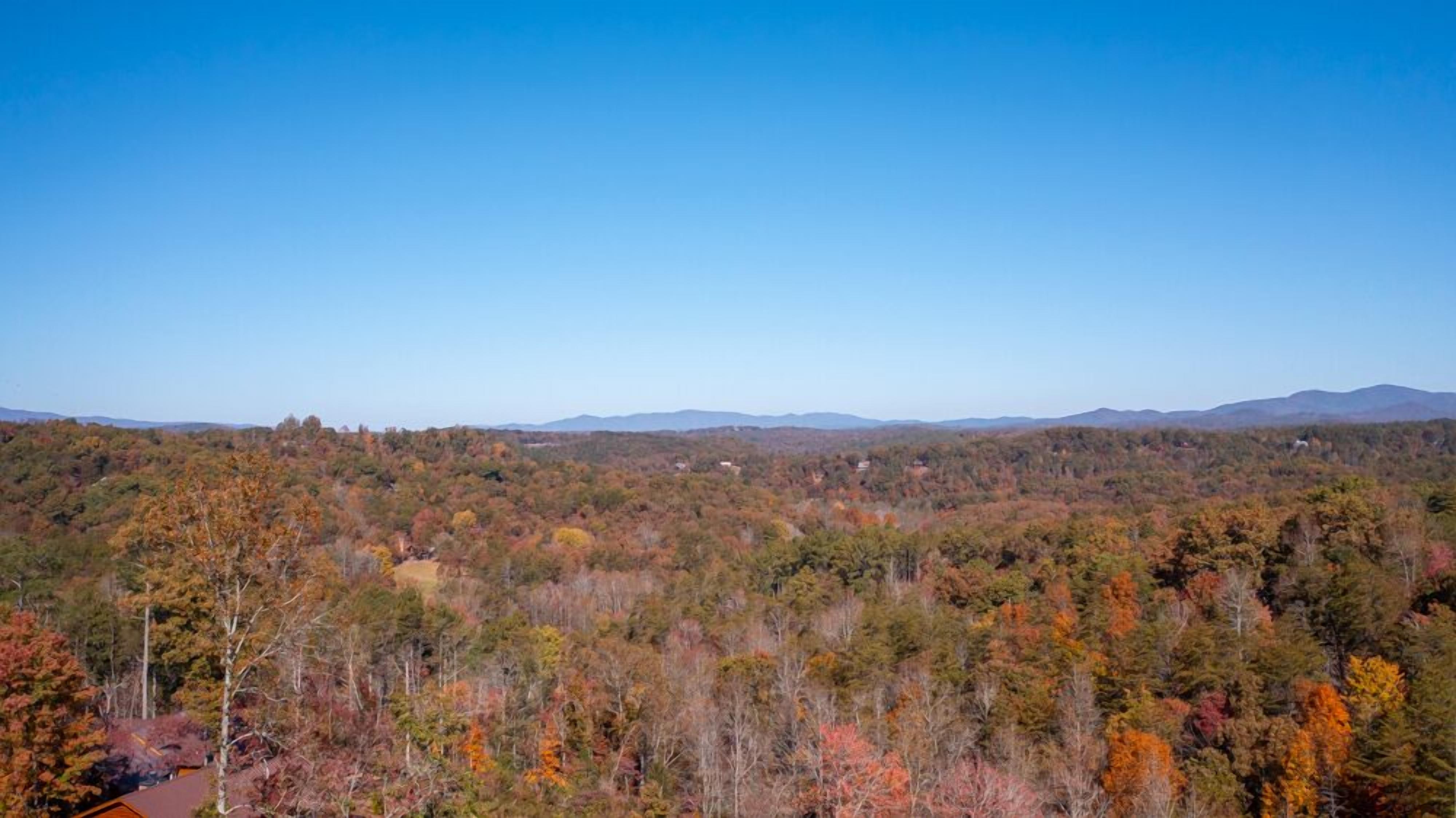 A forested landscape with a clear sky.