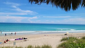 Playa en los alrededores, camastros y toallas de playa 