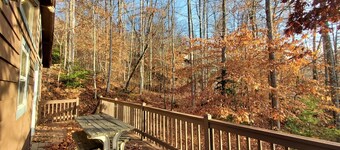 Cozy Cabin with Firepit, Central A/C