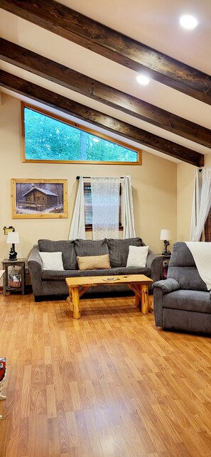 Smart-TV, Kamin