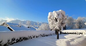 المنطقة المحيطة بالمنشأة