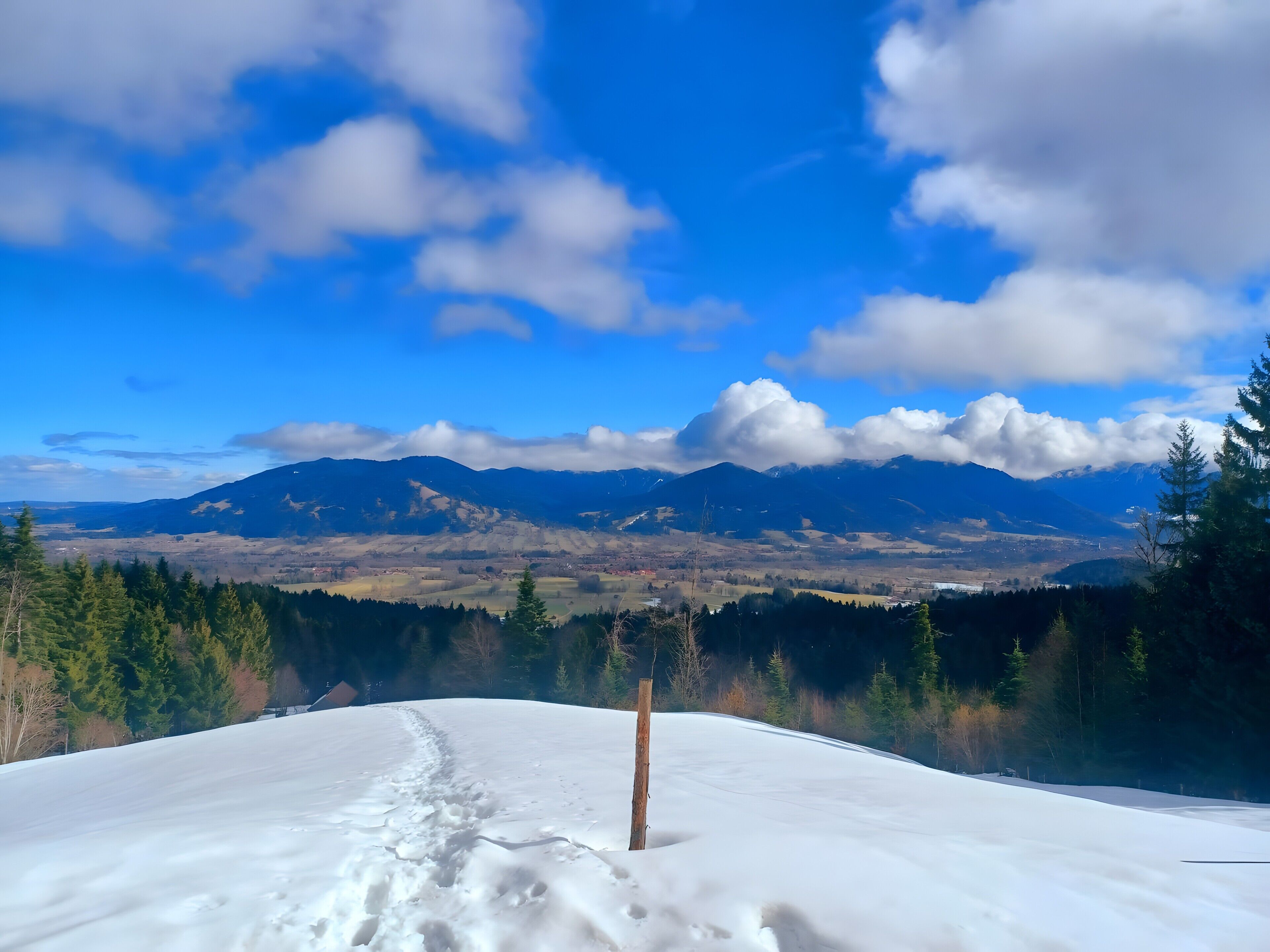 Un paysage enneigé avec un poteau en bois, une forêt dense et des montagnes lointaines sous un ciel dégag é.