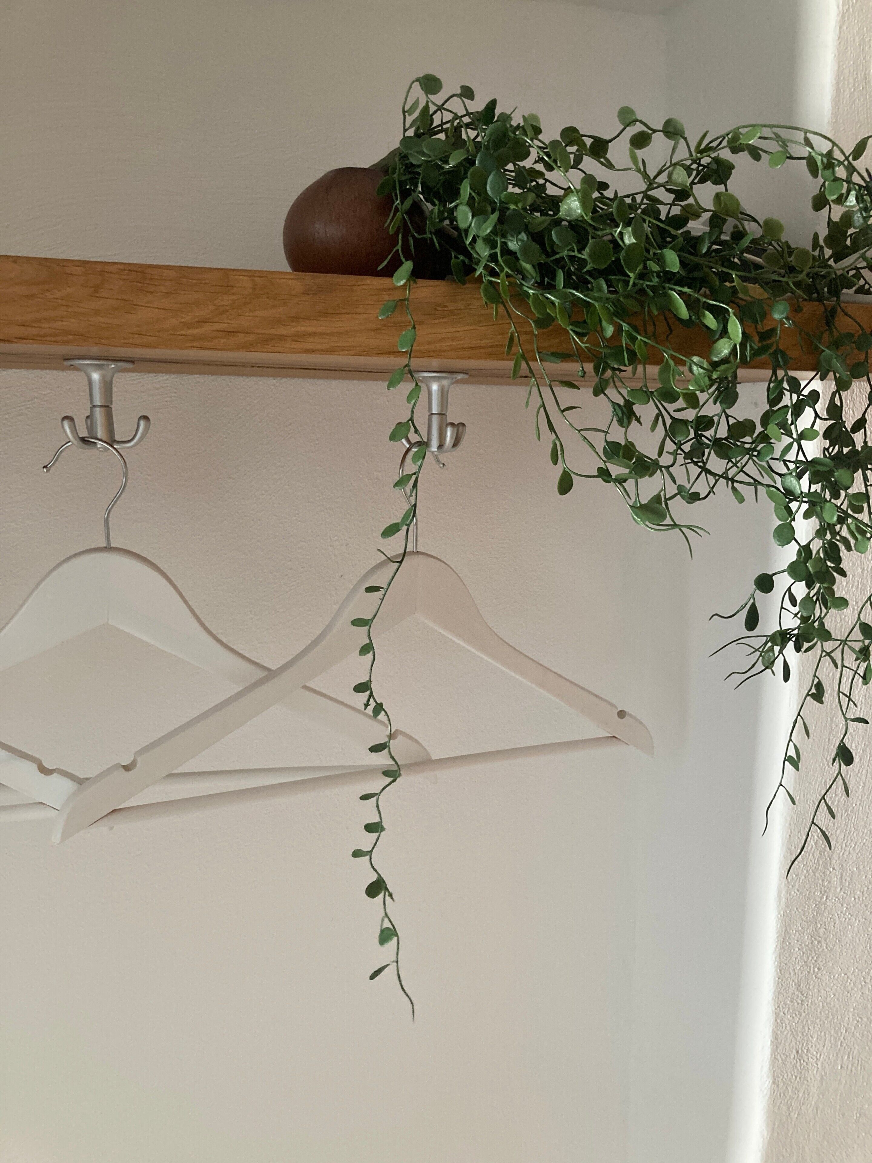 A wooden coat rack with two white hangers and a potted plant with green leaves.