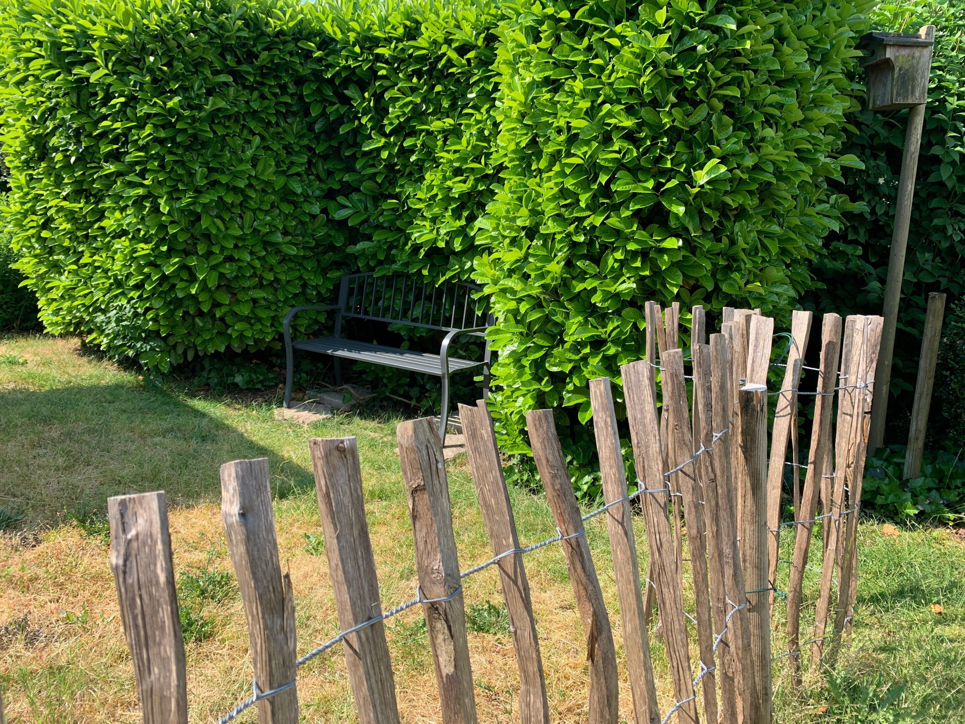 Una valla de madera con alambre de púas, un banco y un seto en un jardín.