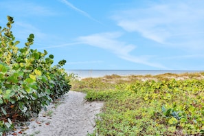 Walk along the serene beach, bordered by lush greenery.