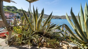 Ein Küstengarten mit Agavenpflanzen und Blick auf das Meer sowie Gebäude im Hintergrund.