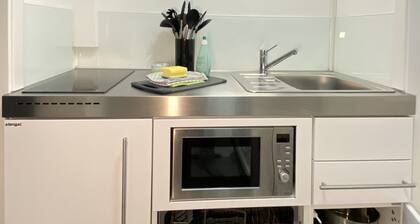 1,5 Zi-App. modern mit Küche +Terrasse nahe S-Bahn. 250 Mbit Internet