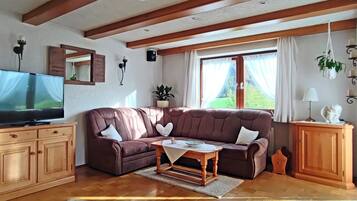 Fernseher