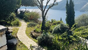 Un sentier de pierres qui mène à un arbre au bord d’un lac, avec des montagnes en arrière-plan.
