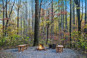 Property grounds - A Humble Abode - Pet Friendly, Fire Pit, Deck, Grill, Wood Stove, Games, Wifi, 6 acres (Great Cacapon)