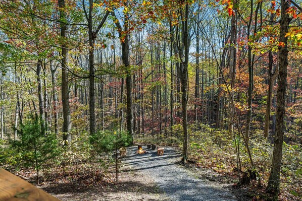 Jardines del alojamiento