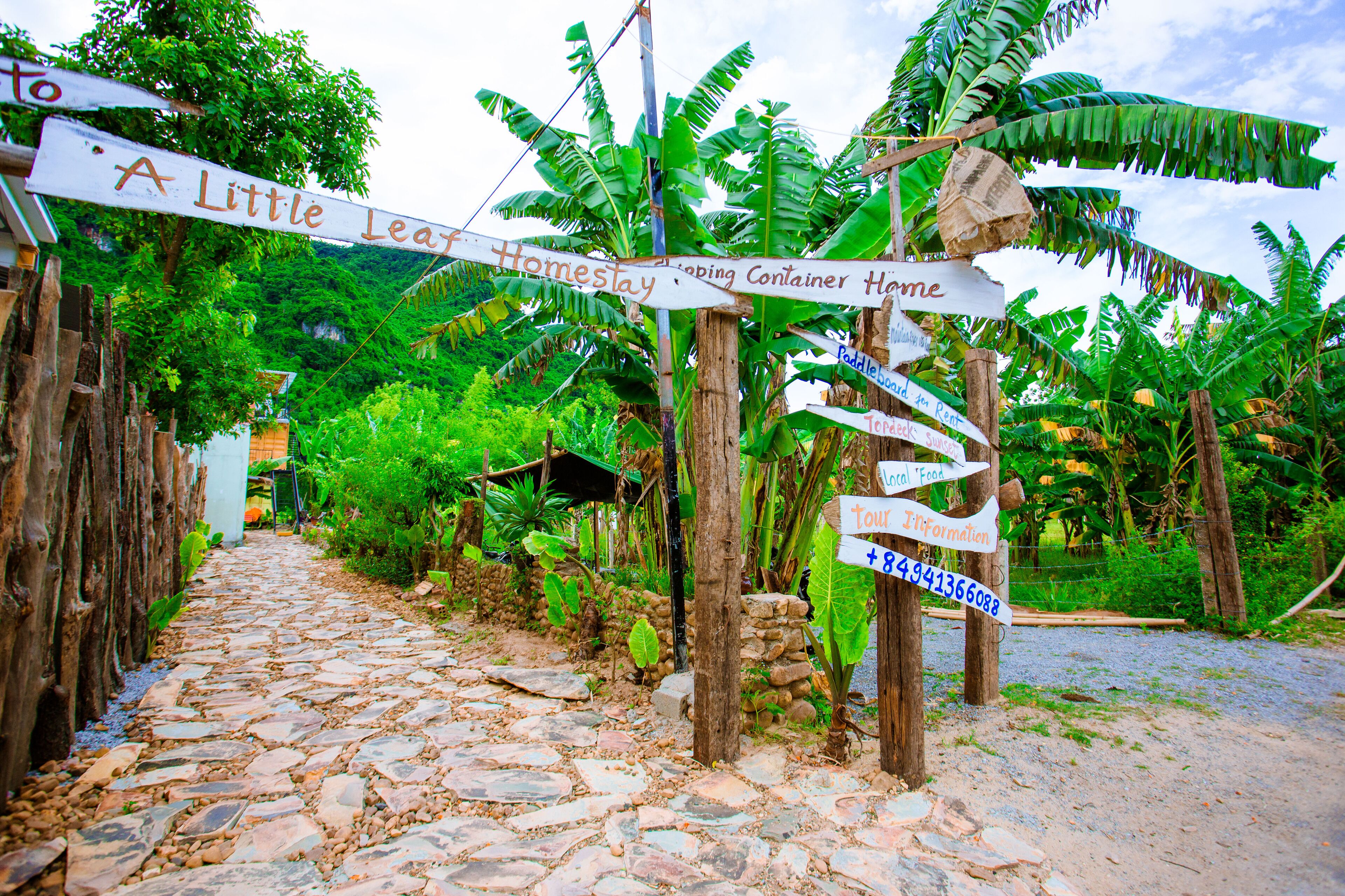 A stone pathway leading to a rustic homestay with a sign indicating a 'Little Leaf Homestay' and a contact number.
