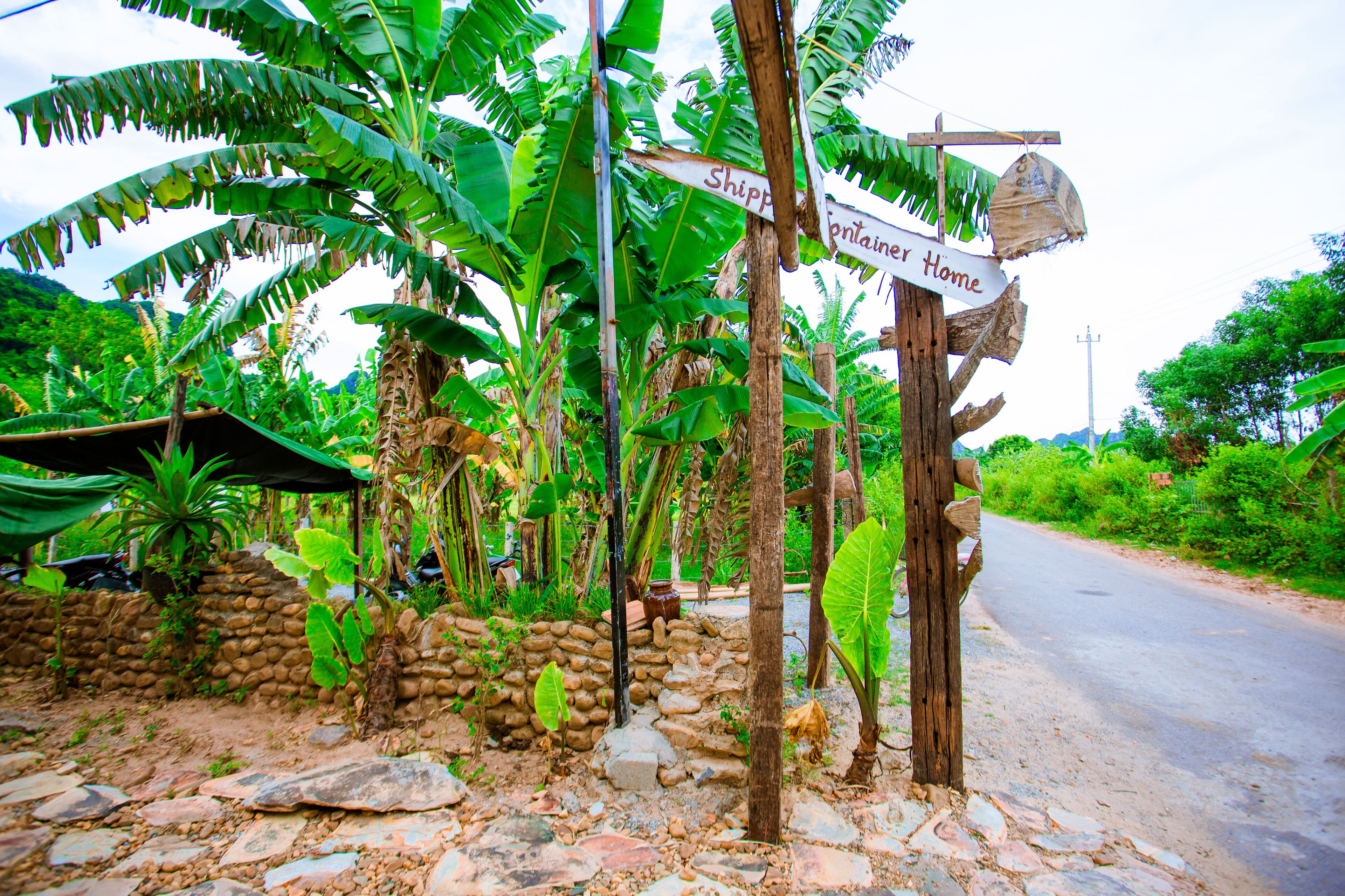 A rustic signpost with 'Shippenier Home' written on it, surrounded by lush banana trees and a stone wall.