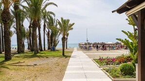 Un paseo marítimo bordeado de palmeras que conduce a sombrillas y sillas de playa.