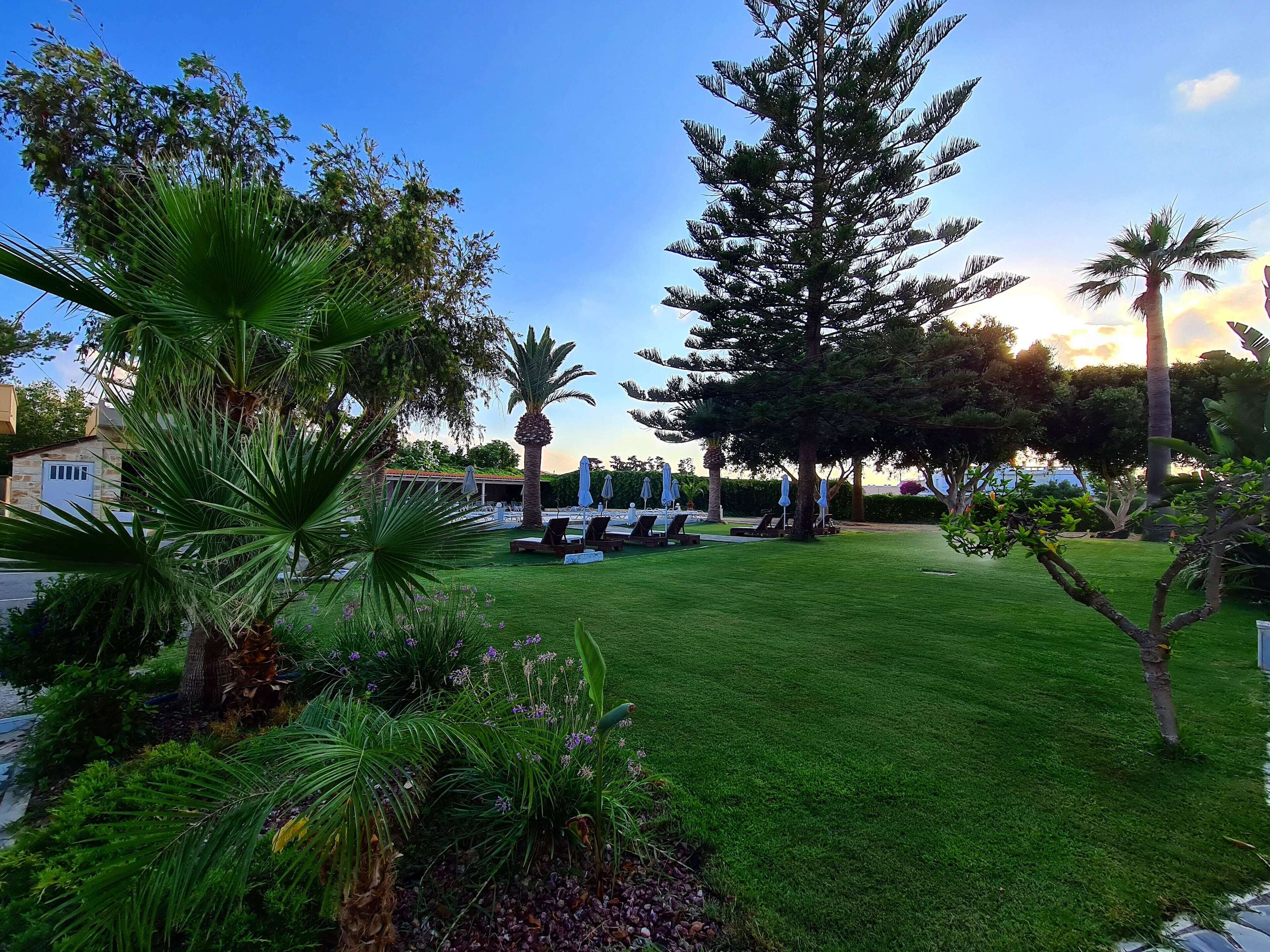 A well-maintained outdoor area with a pool, lounge chairs, and various tropical plants.