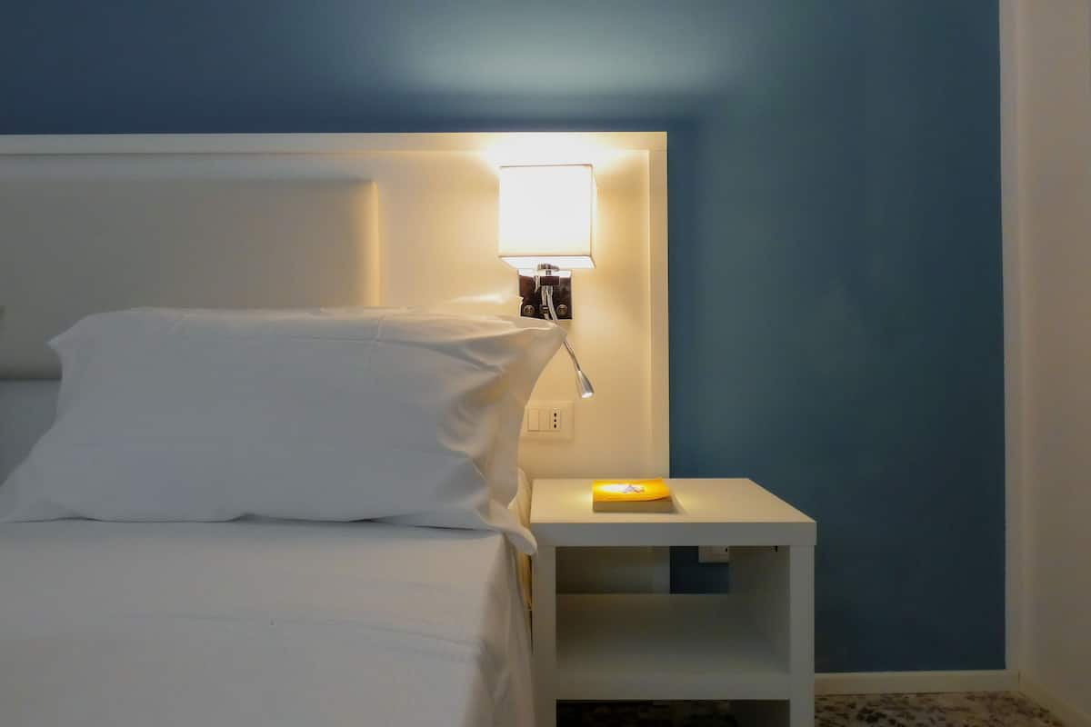 Double or Twin Room | Egyptian cotton sheets, premium bedding, down comforters
