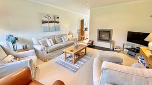 TV, fireplace, DVD player