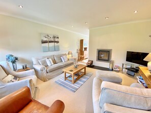 TV, fireplace, DVD player