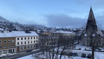 Superior Twin Room, City View | View from room