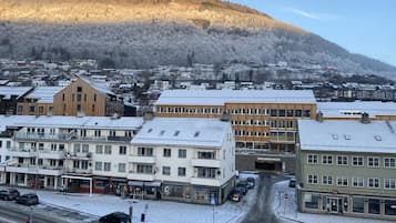 Superior Twin Room, City View | View from room