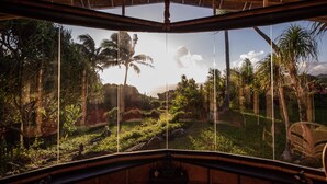Blick von einem Zimmer mit Strohdach auf einen tropischen Garten mit Palmen und blauem Himmel.