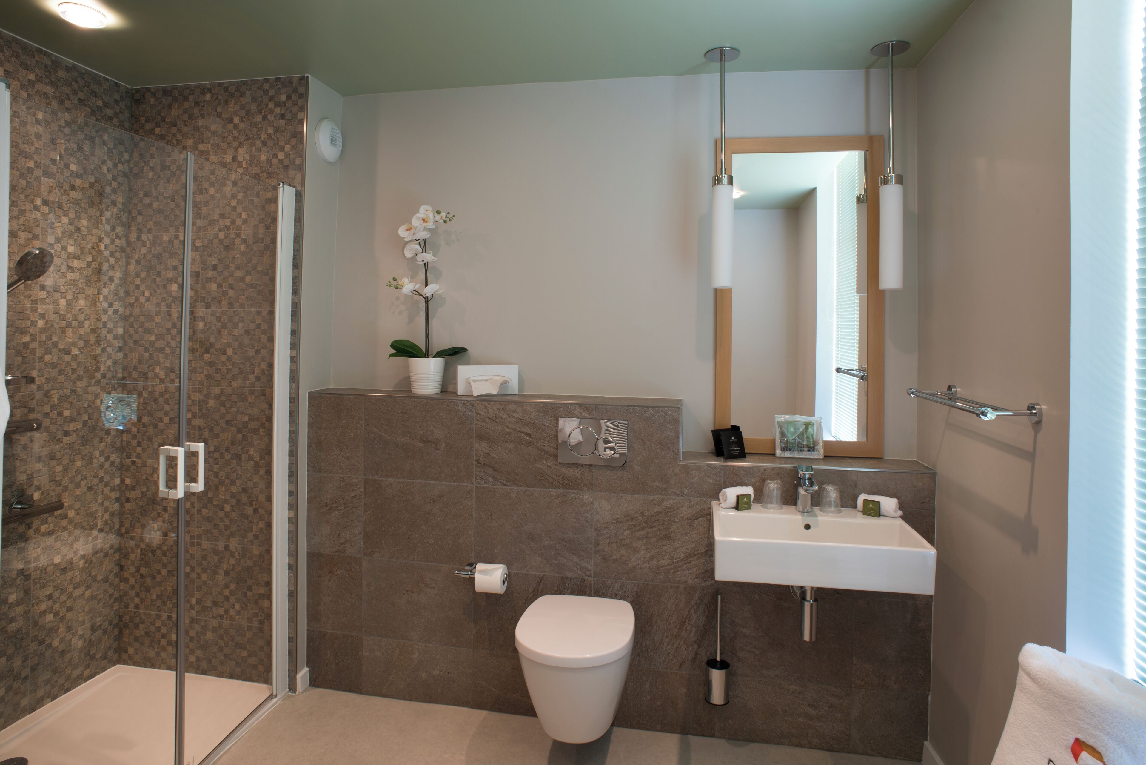Premium Suite | Bathroom | Shower, hair dryer, bathrobes, towels