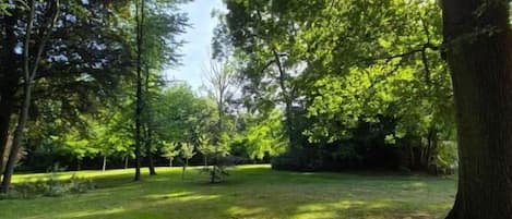 A park with trees and grass.