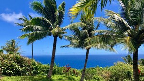 Paisaje tropical con palmeras y vista al océano.