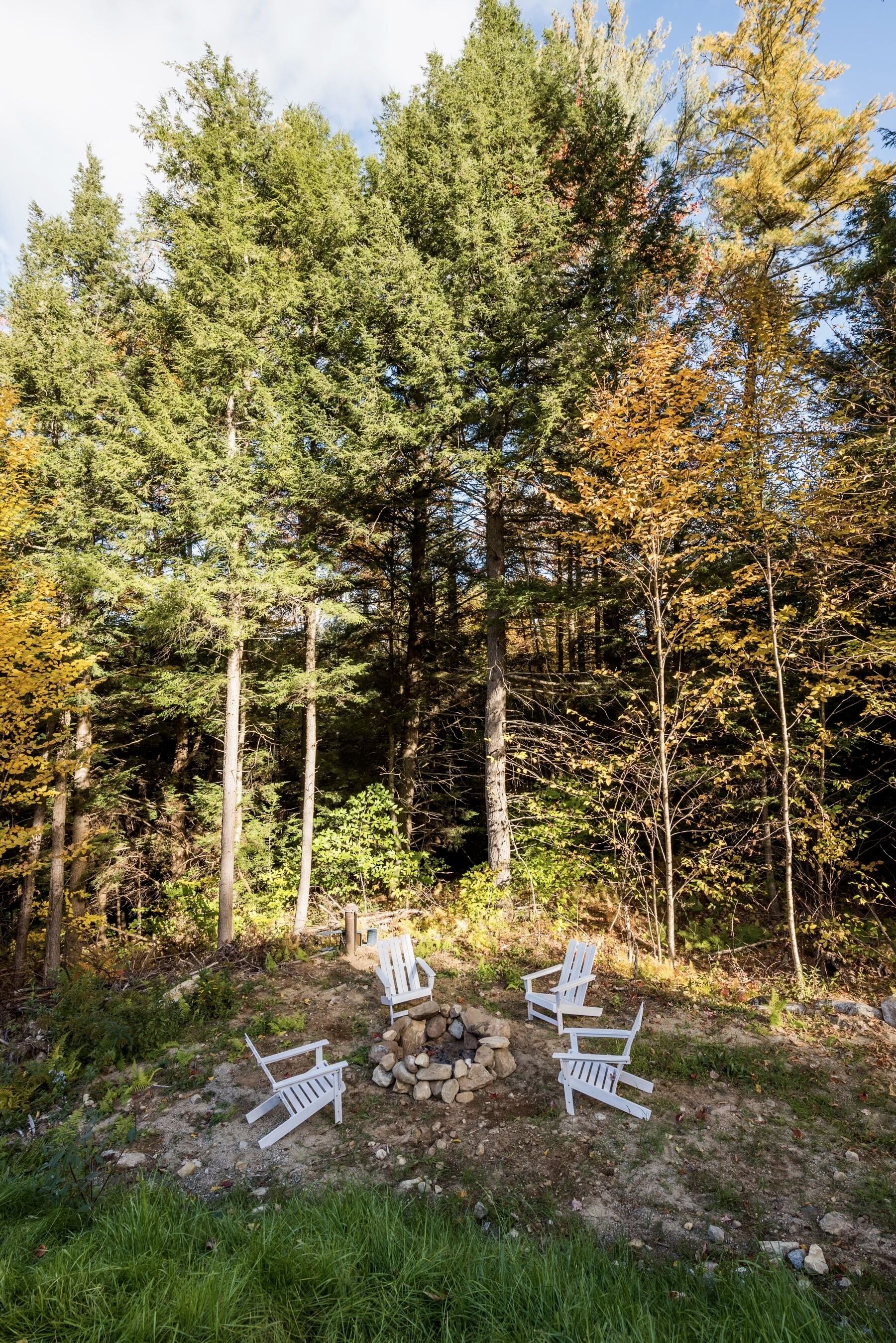 A forested area with three white Adirondack chairs arranged around a small fire pit.