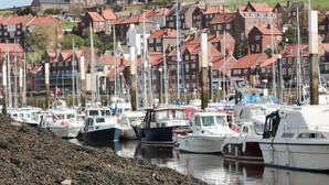 A marina with multiple boats docked, a historic building in the background, and red-roofed houses lining the waterfront. - Stoker's Rest (Whitby)