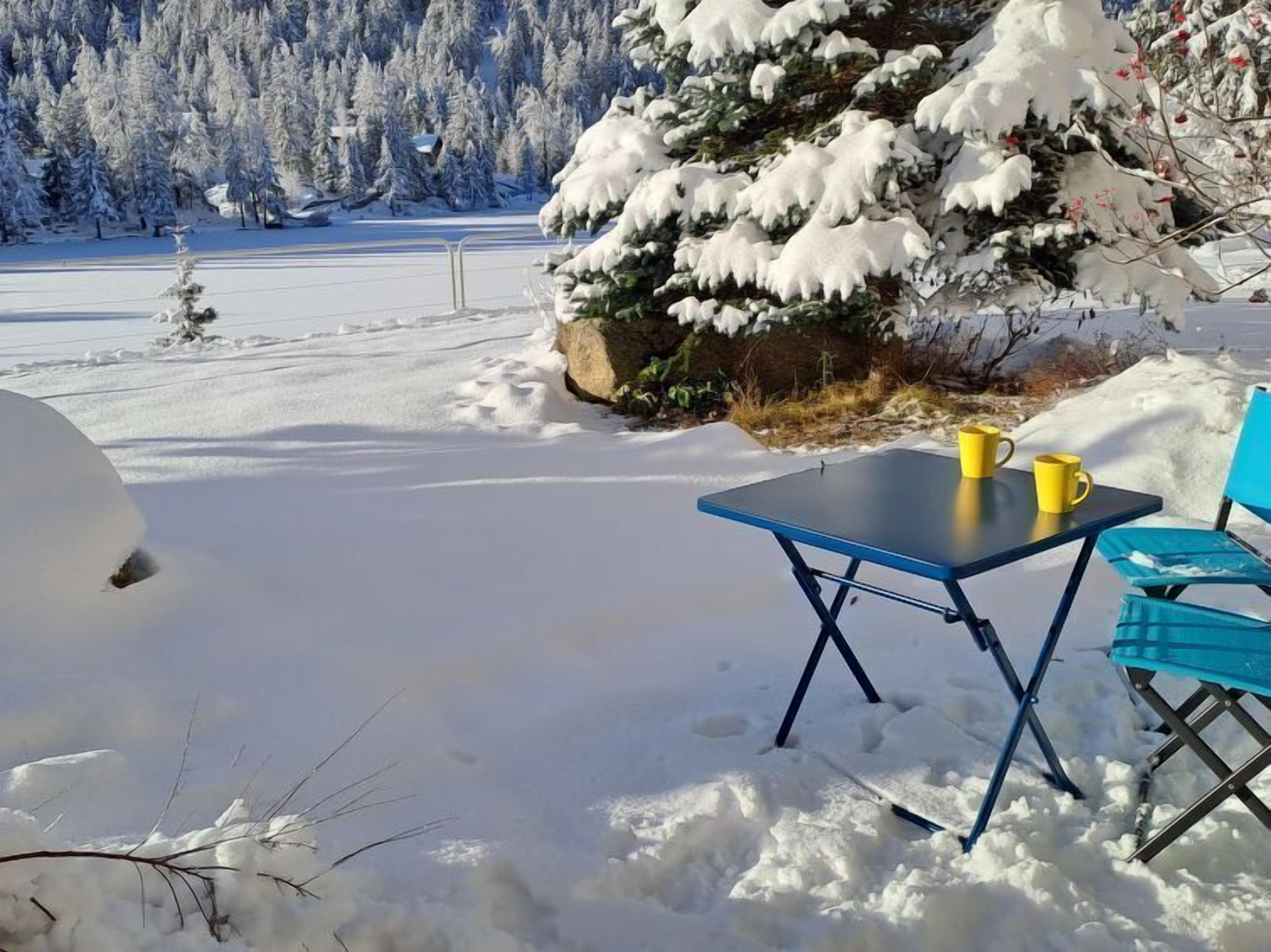 A snow-covered outdoor area with a table and chairs, a snowball, and a forest in the background.