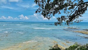 A coastal view with clear waters, rocky shorelines, and dense greenery.