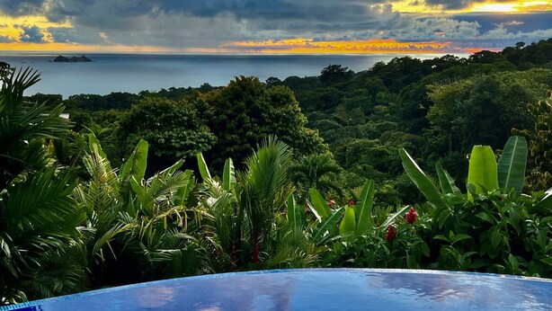 A lush landscape with a pool in the foreground, dense greenery, and a view of the ocean at sunset.