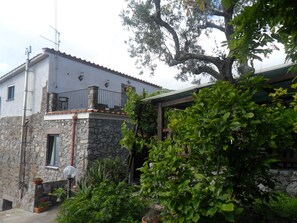Parco della struttura