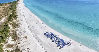 Appartamenti con A.C a San Teodoro