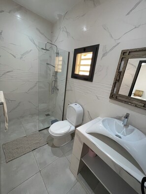 A modern bathroom with a glass shower enclosure, a toilet, and a sink with a mirror above it.