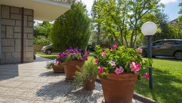 Un chemin piétonnier dallé, agrémenté de plantes en pot, une voiture garée à proximité et un immeuble doté d’un balcon.