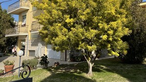 Un immeuble à plusieurs étages doté de balcons, d’une pelouse bien entretenue et entouré d’arbres.