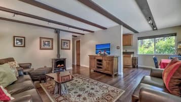 Smart TV, chimenea y reproductor de DVD