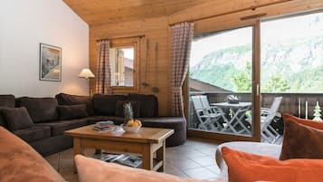 TV connectée, cheminée, lecteur de DVD, livres