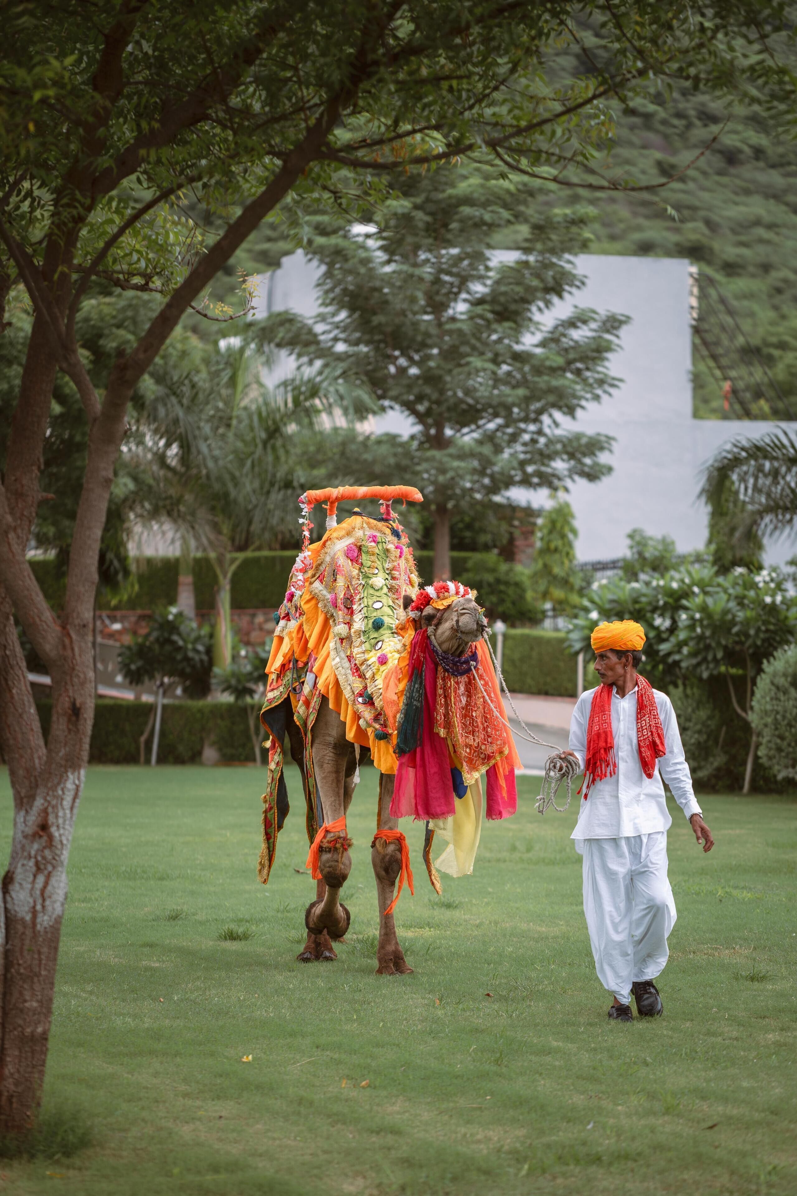 Foto - Traavista Aravali Mahal - Luxury Lake View Heritage Resort in Udaipur