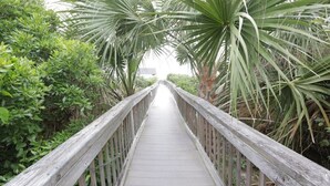 A wooden boardwalk surrounded by lush greenery. - Come feel the "SEA BREEZE" - Minimum 2 week rental starting on Sundays (Emerald Isle)